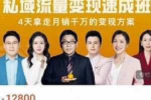 桔子会·私域流量变现速成班,4天拿走月销千万的变现方案 价值12800元