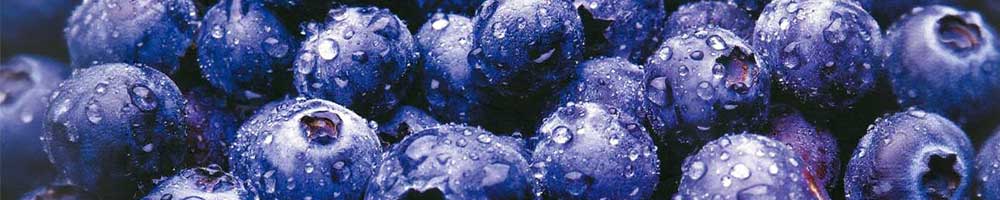 分类-研究速递-健蓝膳吾